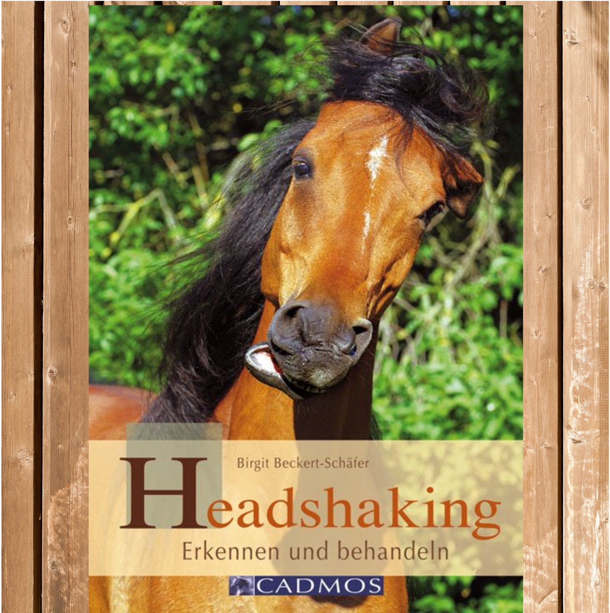 Headshaking - Erkennen und behandeln, Das Headshaking-Syndrom